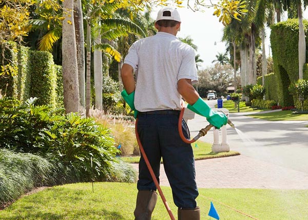 About Portland TX Pest Control Pros